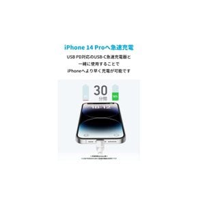 Anker 310 USB-C & 라이트닝 케이블 MFi인증 iPhone 14 Pr