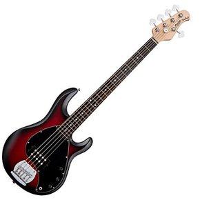 스털링 바이 뮤직맨 스팅레이 레이5 RRBS (AMPEG BASS 비기너 앰프 포함 12피스 세트) 5현