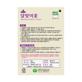 달맞이꽃 씨앗 4000립 야생화종자 꽃씨 달맞이꽃씨