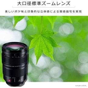 LUMIX S PRO 24-70mm F2. 8 S-E2470 파나소닉 대구경 표준 줌 렌즈 풀 사이즈 미러리스 일안