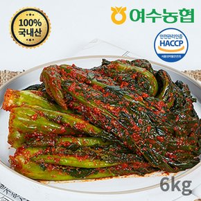 여수돌산 갓김치 6kg