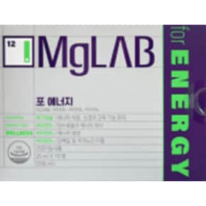 마그랩 포 에너지