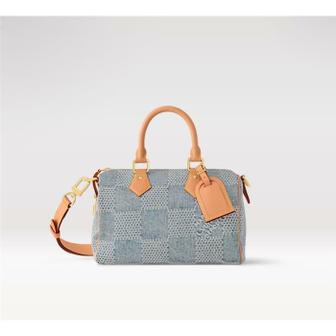 LOUIS VUITTON 스피디 25 반둘리에 크로스백 N40700 N40700