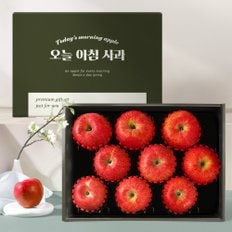 [9/12일(목) 오전8시 마감][오늘아침사과] 명품 사과선물세트 3kg(9과)