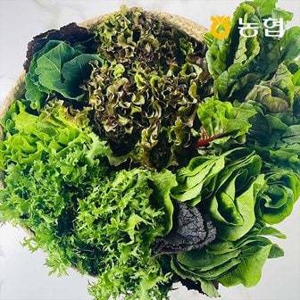 자연맛남 농협선별 국내산 유러피안 샐러드 6종 600g