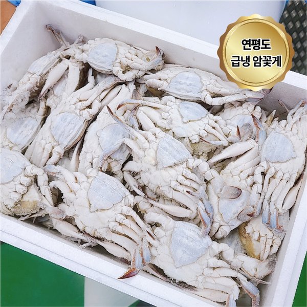 확대된 대표 상품이미지1