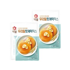 백설 우리밀 핫케익믹스 500g x2개