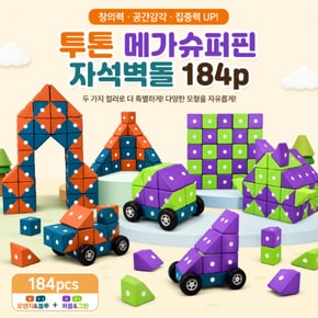DS202030 투톤메가슈퍼핀자석벽돌184p