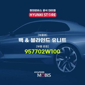 현대모비스백 & 블라인드 유니트 (957702W100)