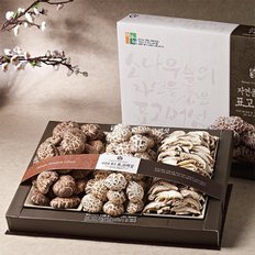 혼합버섯선물세트 3호 (백화고150g+흑화고120g+표고절편80g) [보자기]