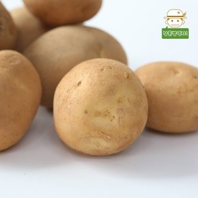 포근포근 분나는 국내산 햇 고향감자(특) 3kg