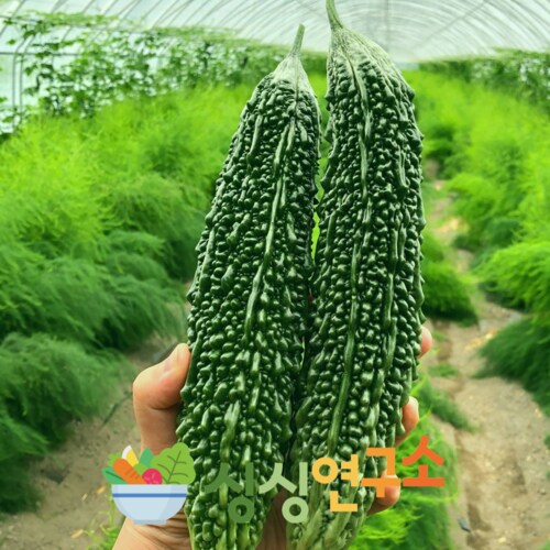 상품이미지4