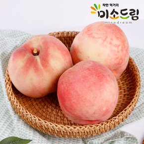 산지직송 당일수확 당일발송 영동 백도 복숭아 1kg (4과내외)