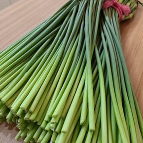 남해 마늘쫑 마늘종 특품 1kg