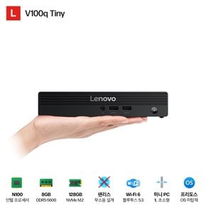 V100q N100 FreeDOS(13GGS02C00) 팬리스 미니 PC IoT 키오스크 샤이니지 씬클라이언트 VDI