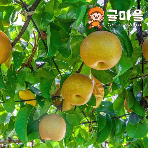 추가3이미지