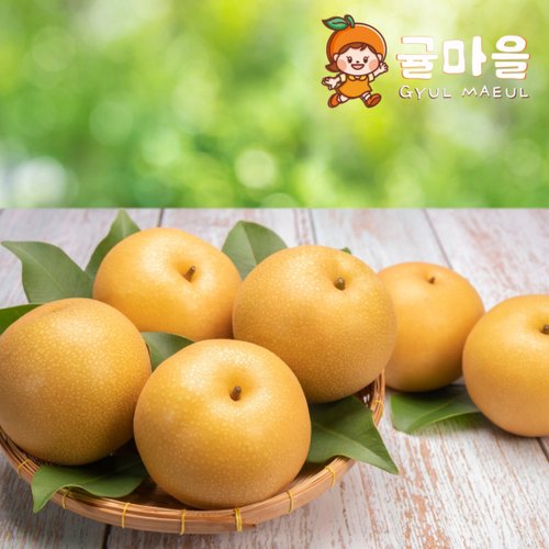추가5이미지