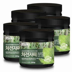 차전자피가루 250g x 5