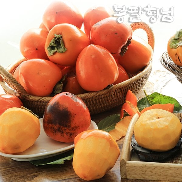 확대된 대표 대표이미지