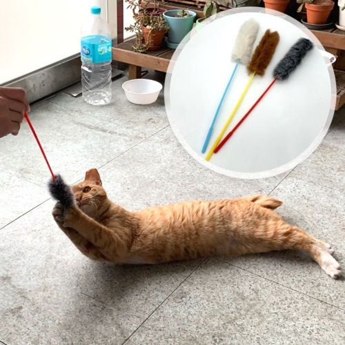 이미지1