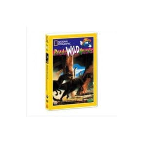 내셔널지오그래픽 공룡왕국의 멋진 친구들 (Dinosaurs And Other Creature Features DVD)