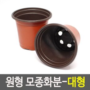 원형 모종화분 대형 원예화분 이색포트소형 플라스틱