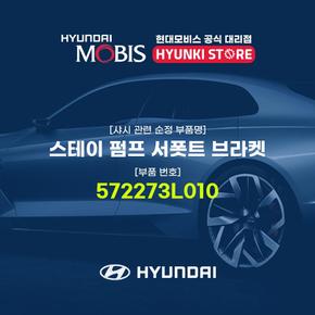 스테이 펌프 서폿트 브라켓 (572273L010)