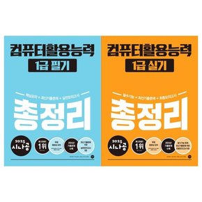 2025 시나공 컴퓨터활용능력 1급 총정리세트 필기+실기