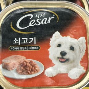 시저 Cesar 쇠고기 강아지 애견 반려견 사료 100g (WA6AED6)