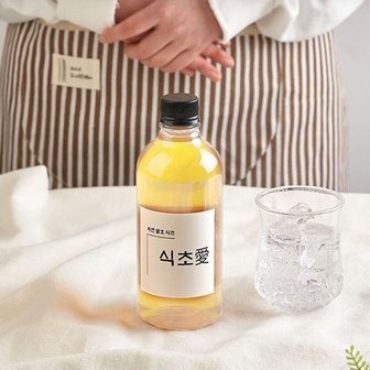  수제 자연발효 파인애플 식초 500ml (WFJ679E)