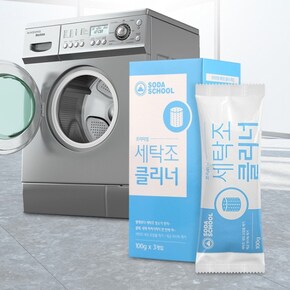 프리미엄 세탁조 클리너 100g 3개입