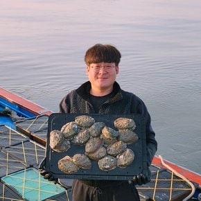 전복 산소포장 활 전복 대 1kg