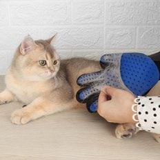 빈샵 고양이 털장갑 브러쉬 강아지 애견 털관리 빗