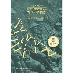 (큰글자책) 지도와 사진으로 보는 제1차 세계대전 : 유럽의 종말과 새로운 세계의 탄생