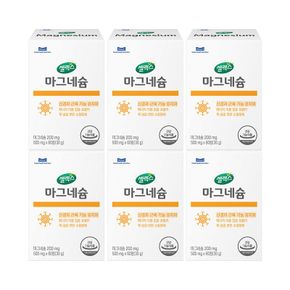 [ETV] 셀렉스 마그네슘 6박스 [500mg x 360정] (180일분)[35938918]