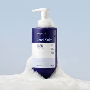 두피랩 쿨 솔트 스케일링 샴푸 500g
