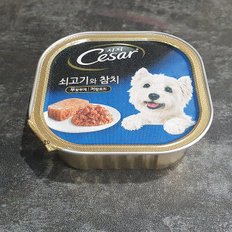 쇠고기와 참치 100g/습식사료/애견사료