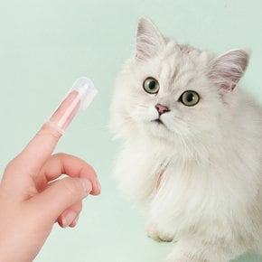 강아지 고양이 실리콘 손가락 돌기 칫솔