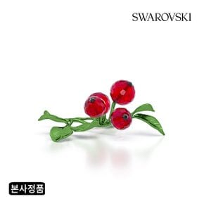 [본사정품/쇼핑백증정] Idyllia 레드 베리 5701281
