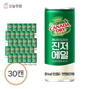 캐나다 드라이 진저에일 250ml 30입