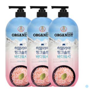 히말라야 핑크솔트 바디워시 민트향 900ml 3개