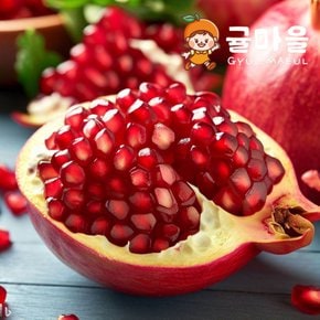 수입산 빨간 석류 5과 개당 330g 내외