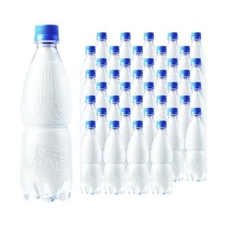  광동 아이스웨일 플레인 무라벨 500ml 20병 X 2박스 (40병)