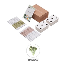 [공식] LG 틔운 미니용 씨앗키트 패키지 LPM30 (적세엽겨자)