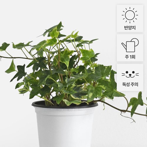 상품이미지3