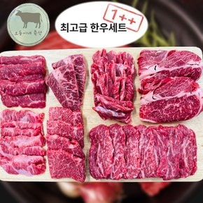 오둥이네 축산 당일 작업하는 우리 한우 산지직송 1++ 최고급 한우세트 800g