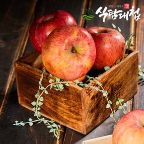 경북 정품 부사사과 5kg (17-19과)중과