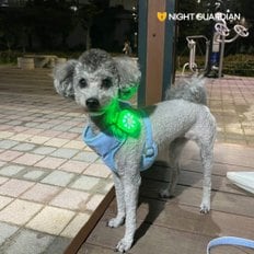 나이트가디언 강아지 야간산책 led 라이트