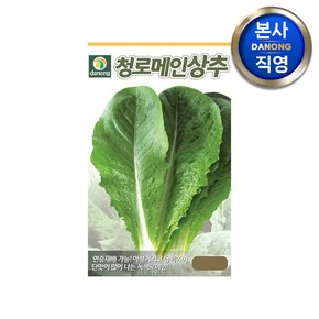 청로메인 상추 씨앗 2000립 , 야채 채소 텃밭 파종 재배 주말 농장 씨 종자,
