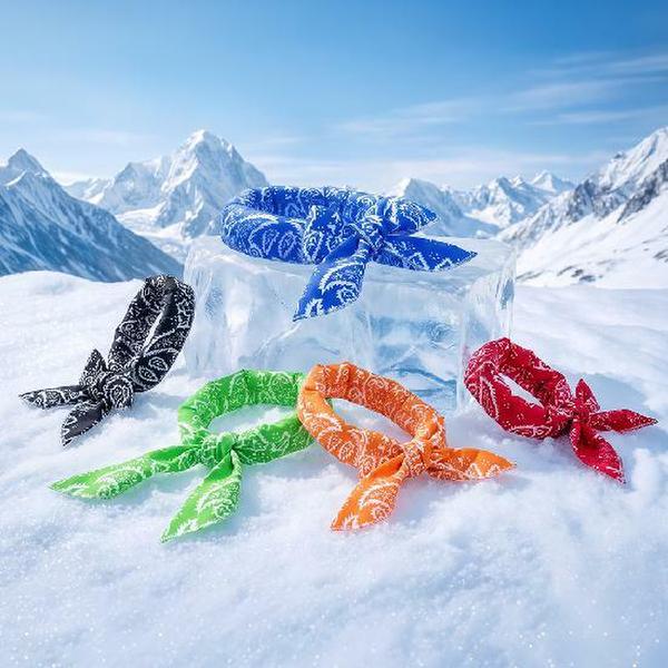 확대된 대표 이미지 P